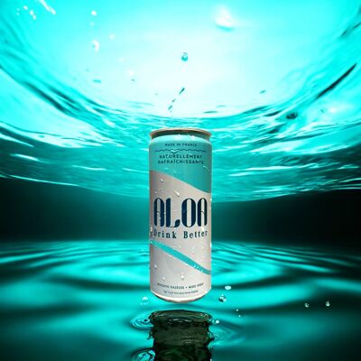 6 CAN ALOA: Refrescos saludables y refrescantes