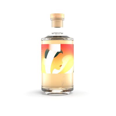 Vodka VIGOUDENN 70cl / 40% vol