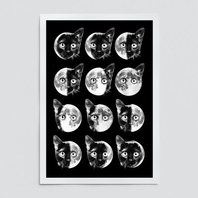 Cat Moon phases art print