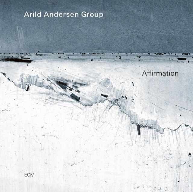 Arild Andersen Group LP - Affermazione