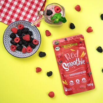 Smoothie Rouge NutriPur Bio 100g 2