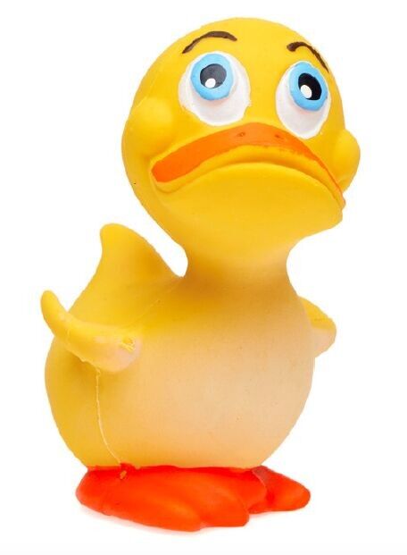 Anatroccolo che fa il bagno