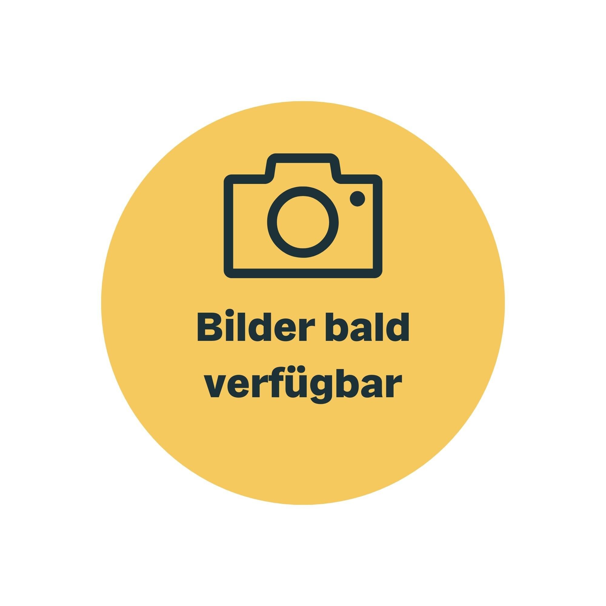 Teiera con inserto ad anello in acciaio inossidabile e vetro