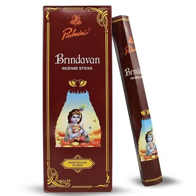 Incienso Padmini Brindavan Hexa