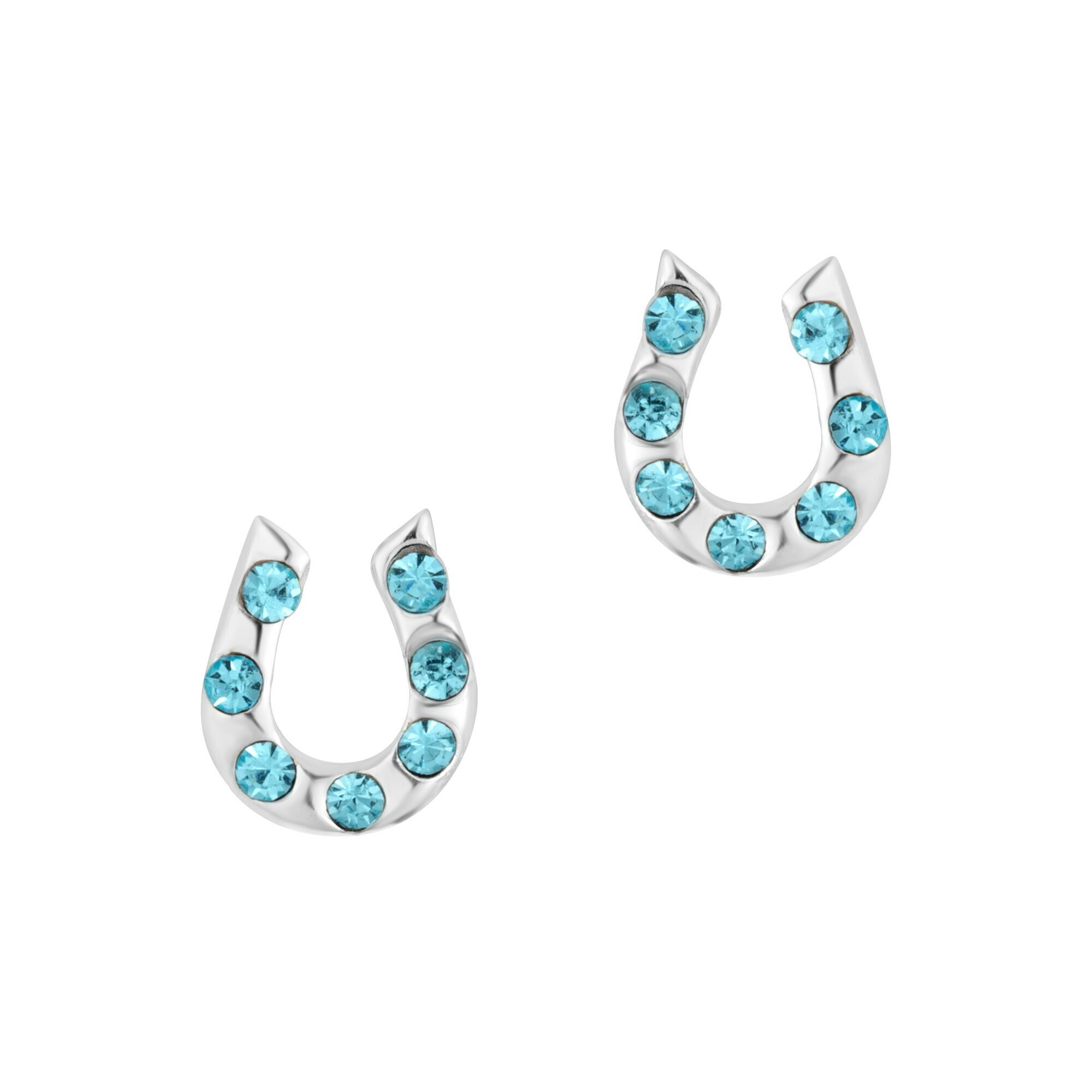 Pretty Aqua Horseshoe Studs