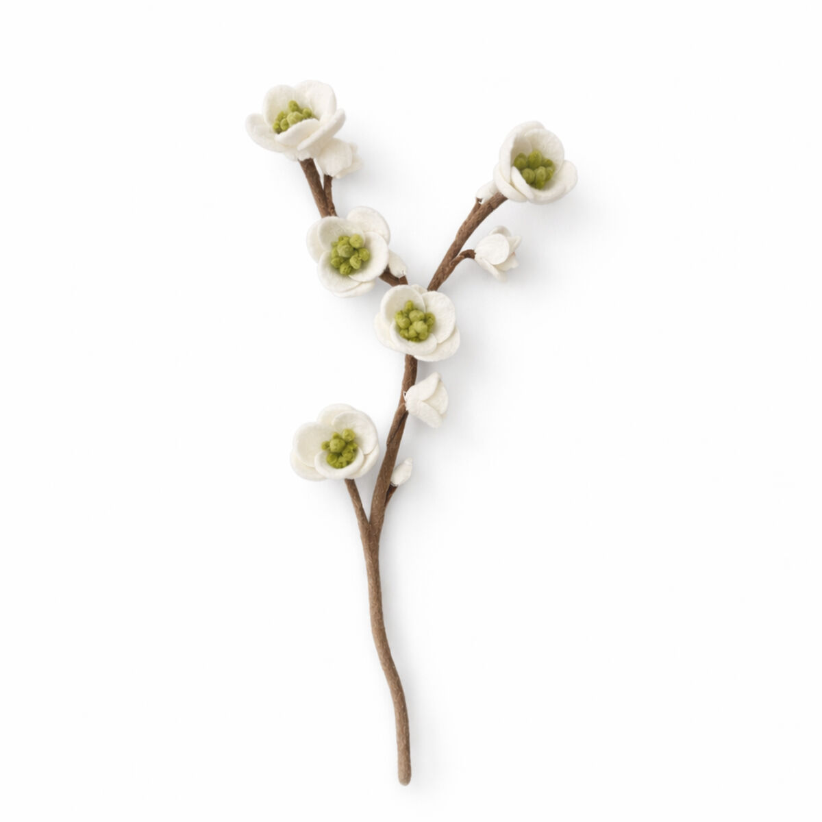 Kirschblüte groß weiß grün (10E-CHER-BLSM-WHGRN)