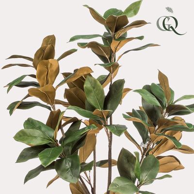 Planta de arte - Magnolia grandiflora - 150 cm