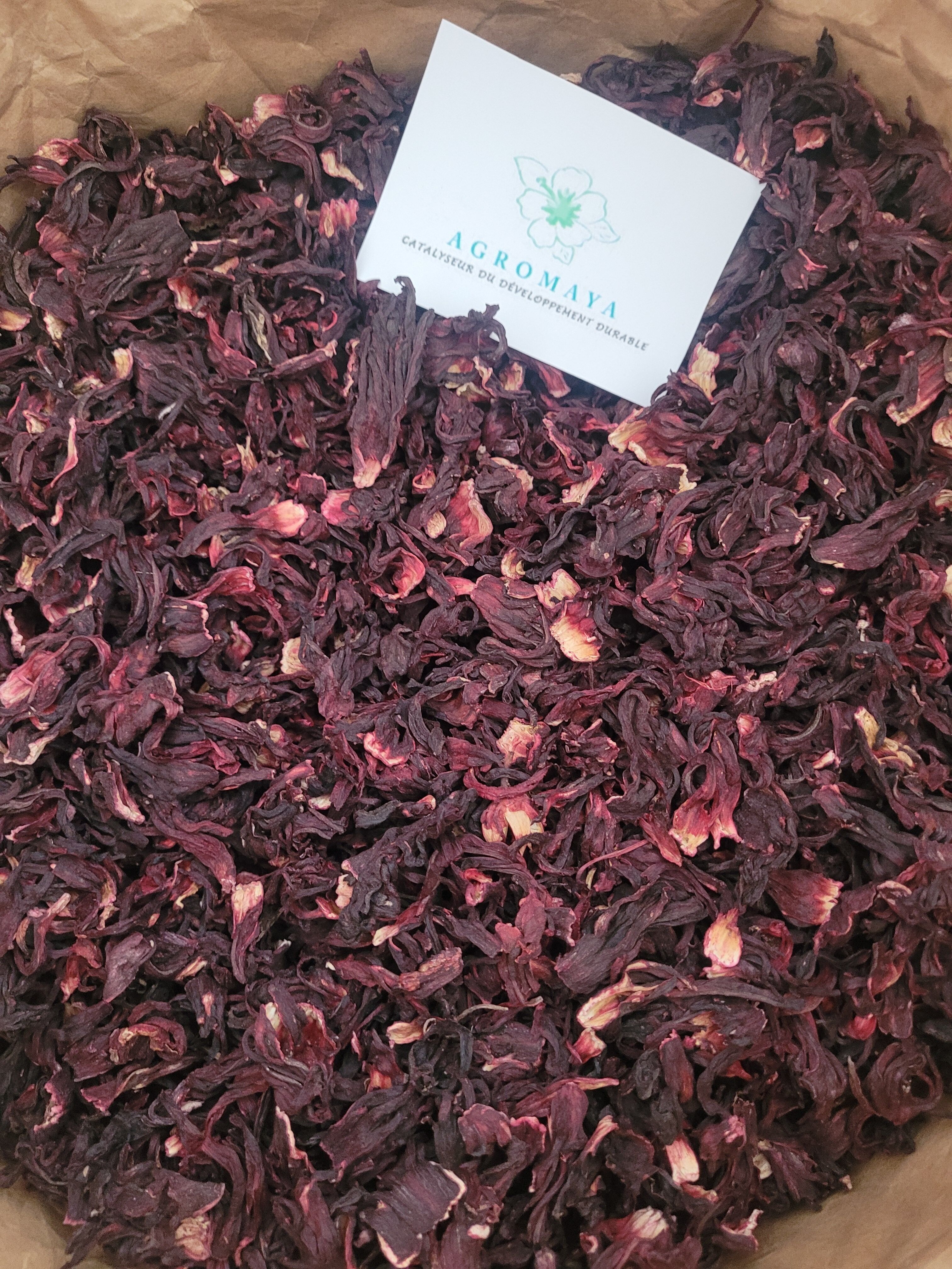 Blumen-Hibiskus-10KG-Agromaya