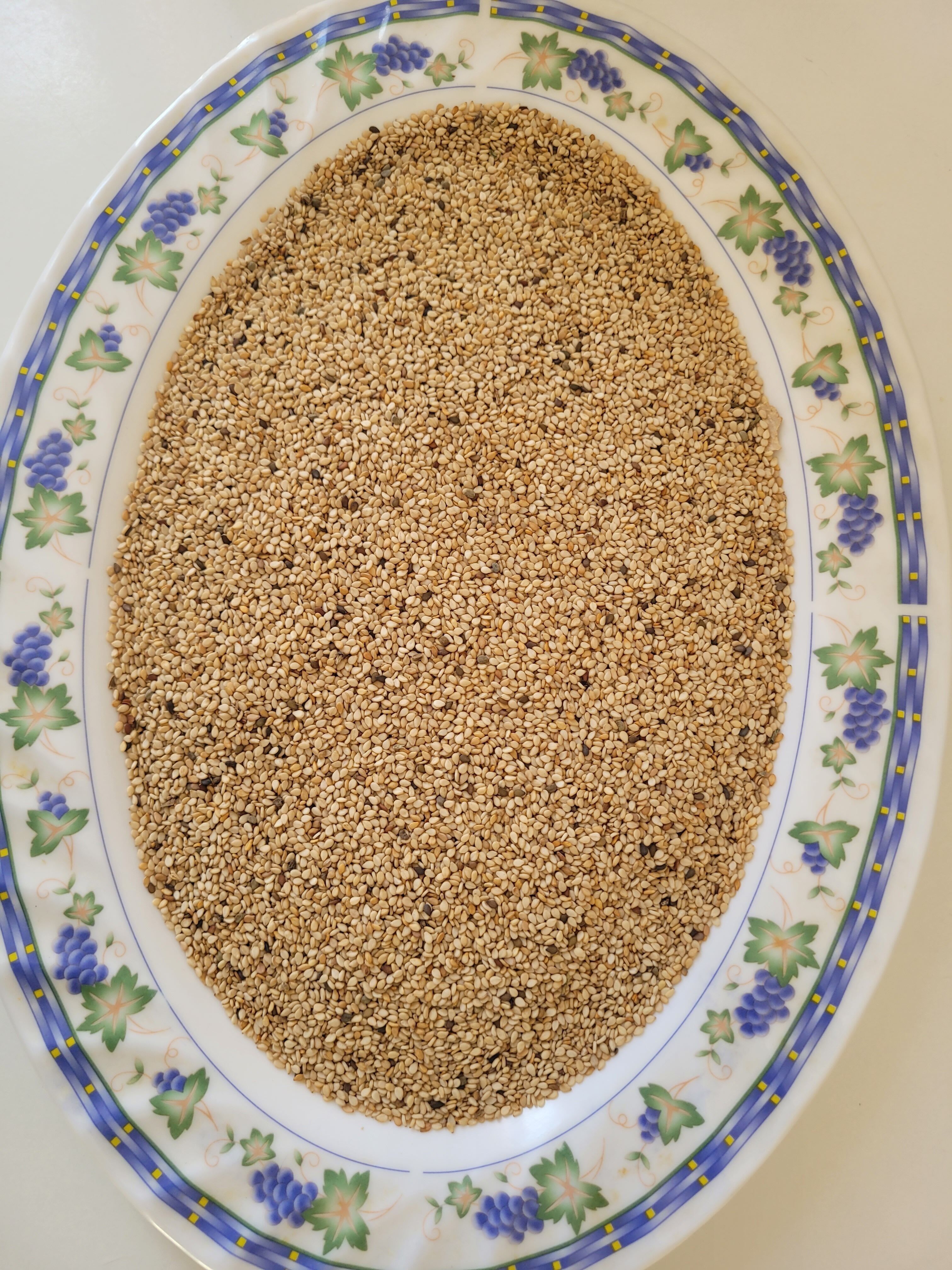 Sesamsamen-4Kg-Agromaya