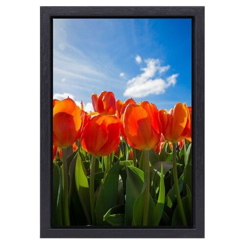 Painting Red Tulips | black frame