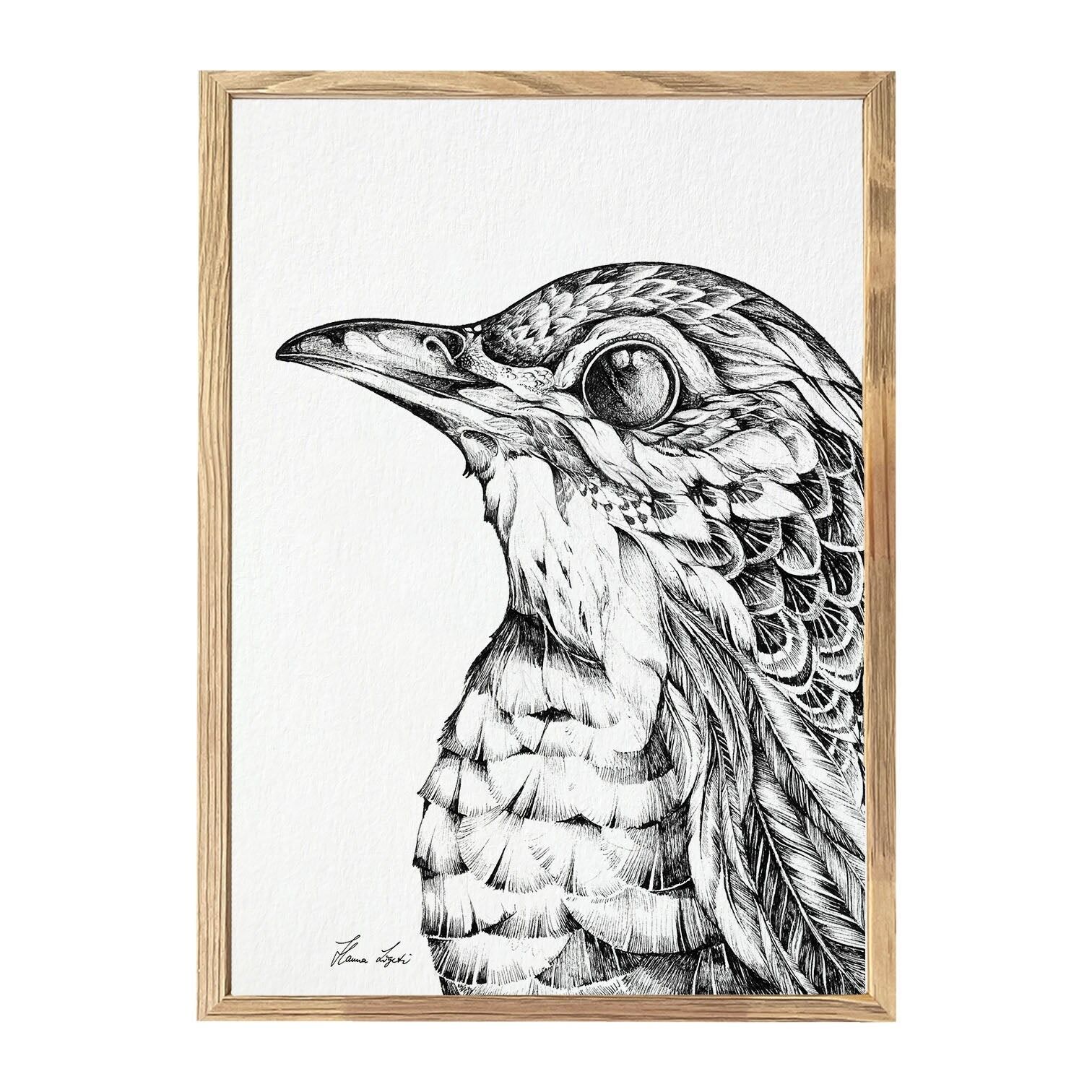 Stampa d'arte - Curiositas