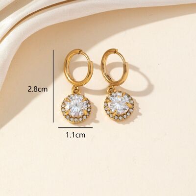 Stainless Steel Hoop Earrings 25BOA233