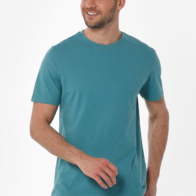 Camiseta básica de algodón orgánico