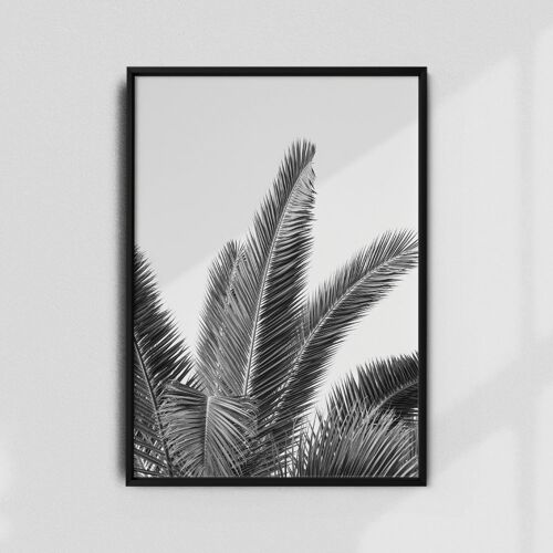 Palm Leaves A3