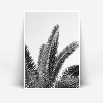 Feuilles de palmier A3 5