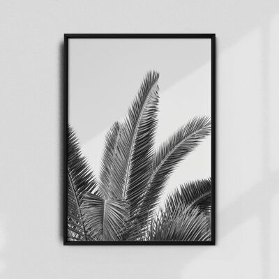 Hojas de palmera A2