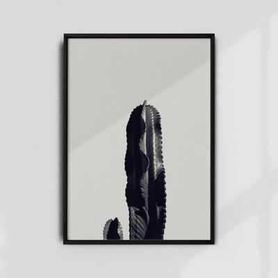 Cactus-B&W A3