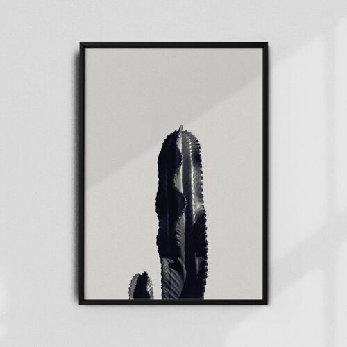 Cactus-B&W A2