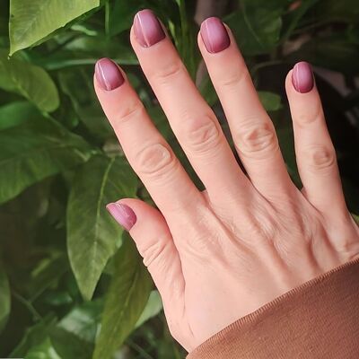 Feuilles de Gel - Velvet Halo - Nooves Nails