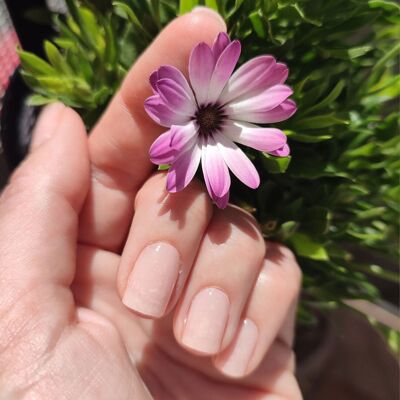 Gel Sheets - Tender Rose - Nooves Nails