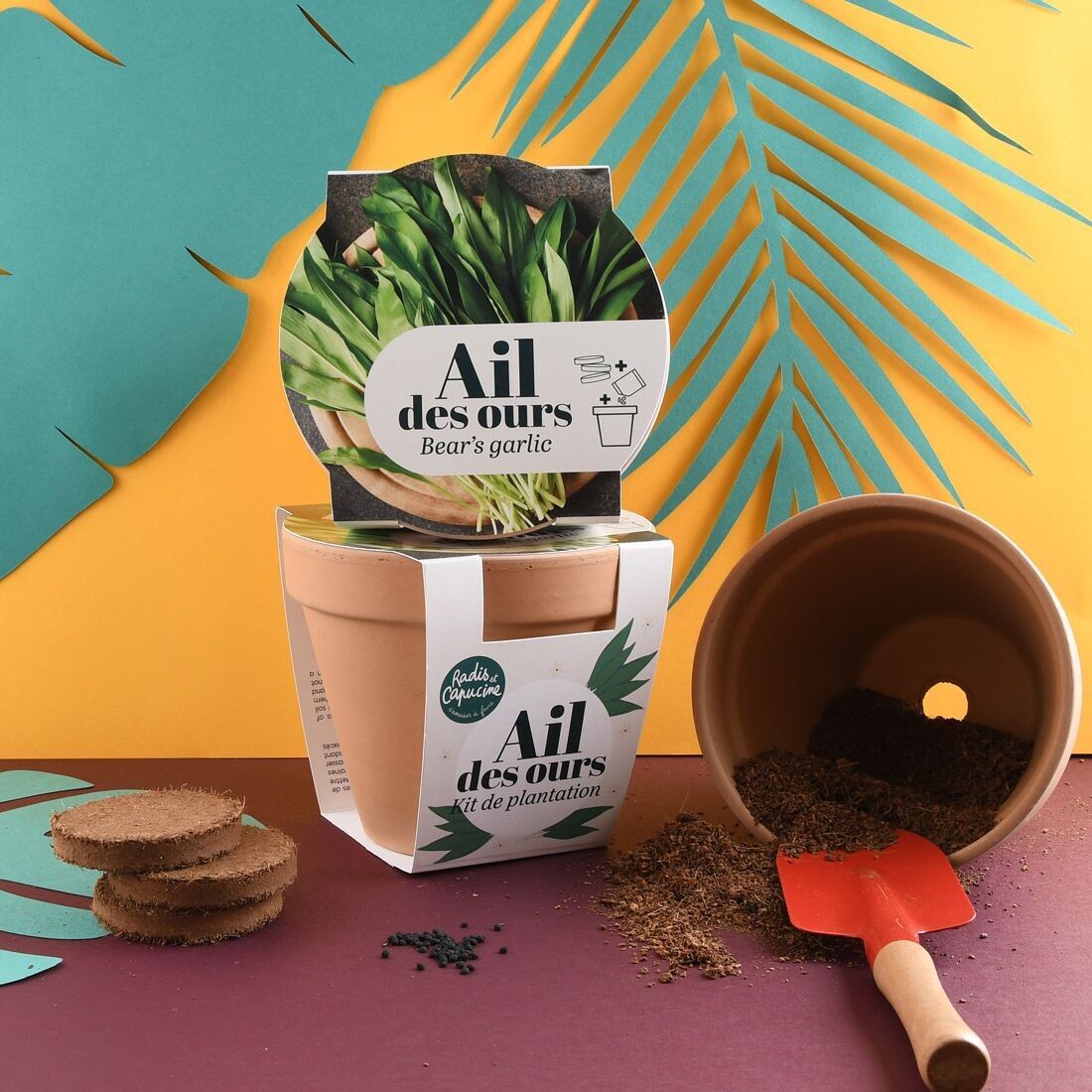 Antiker Terrakotta-Topf – Bärlauch