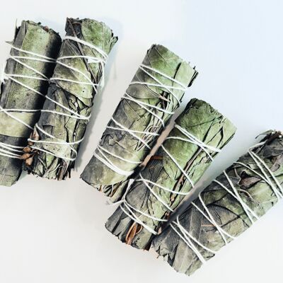 SMUDGE STICK DI EUCALIPTO - INCENSO NATURALE