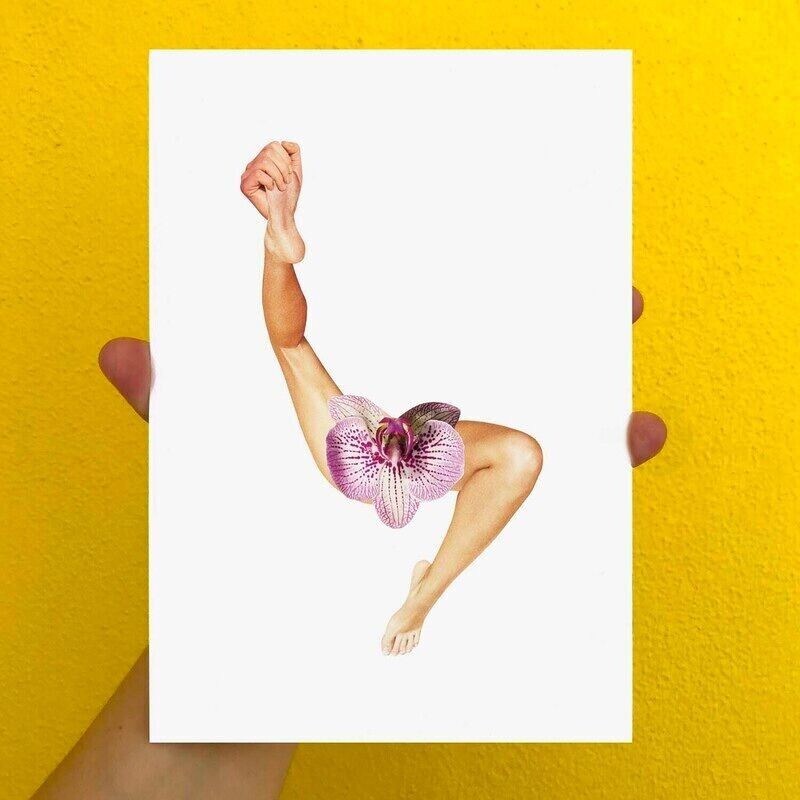 stampa collage di orchidee