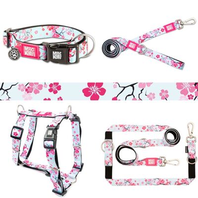 Cherry Bloom Collection - Max & Molly