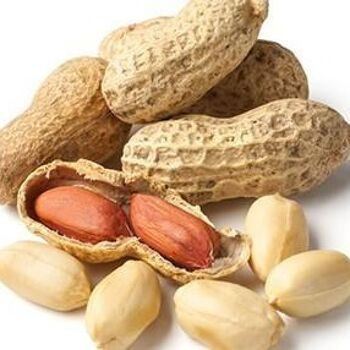 Nougat cacahuète antillais "Sik à pistaches" (vegan) 3