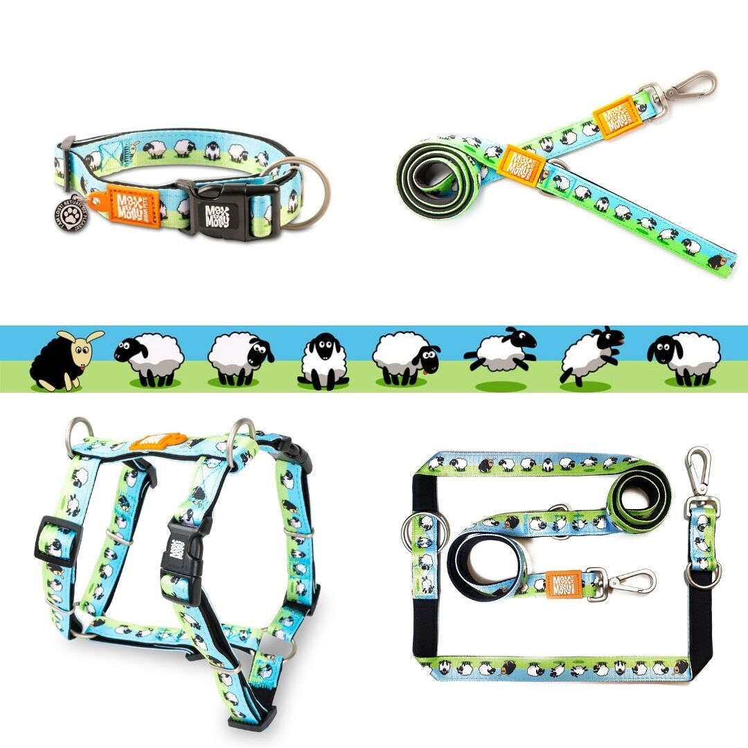 Collezione Pecora Nera - Max e Molly