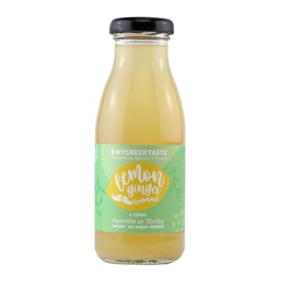 Handgemachte Limonade ohne Zucker mit Ingwer & Agave