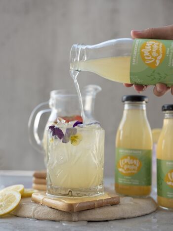 Limonade artisanale sans sucre au gingembre et à l'agave 2