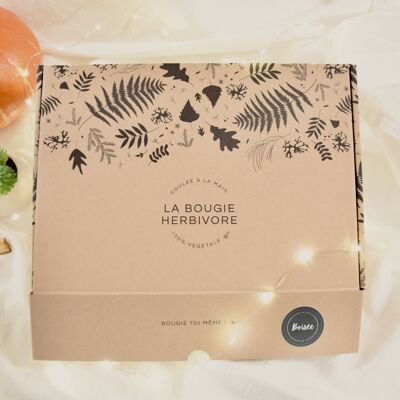 Box DIY : Kit pour fabriquer ses bougies (Boisée) | LA BOUGIE HERBIVORE - Fabrication Artisanale