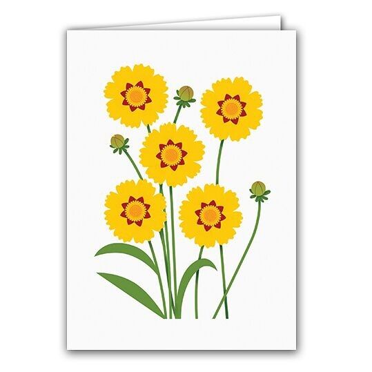 Biglietto di auguri vuoto - Coreopsis