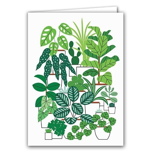 Biglietto di auguri vuoto - Piante da appartamento