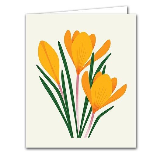 Biglietto di auguri vuoto - Crocus
