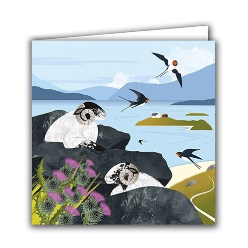 Blank Greeting Card - Sleeping Sheep and Swallows