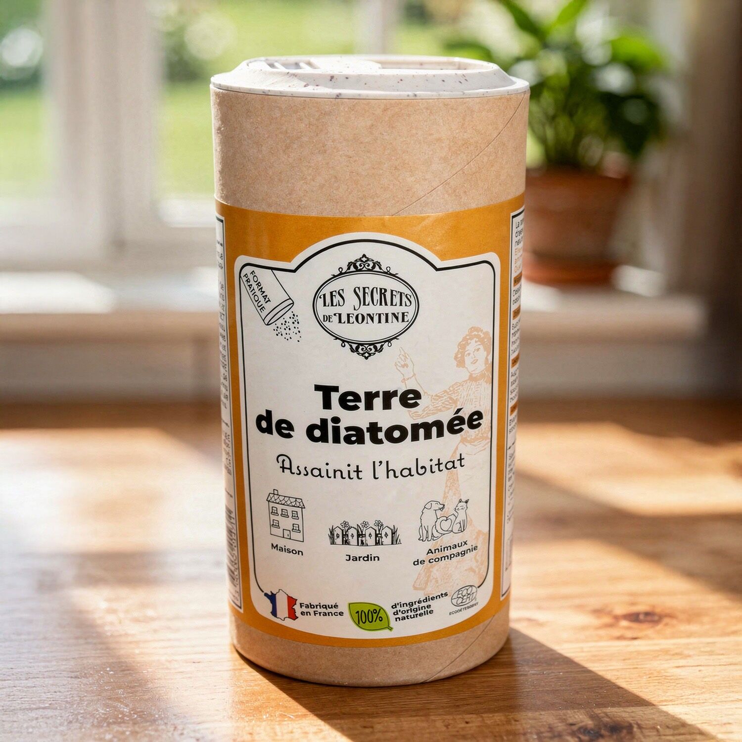 Terre de Diatomée ECOCERT - Saupoudreur 250gr