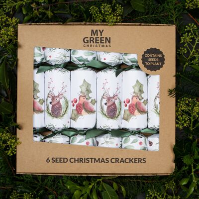 Seed Christmas Crackers - Box of 6