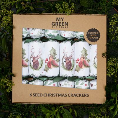 Seed Christmas Crackers - Box of 6