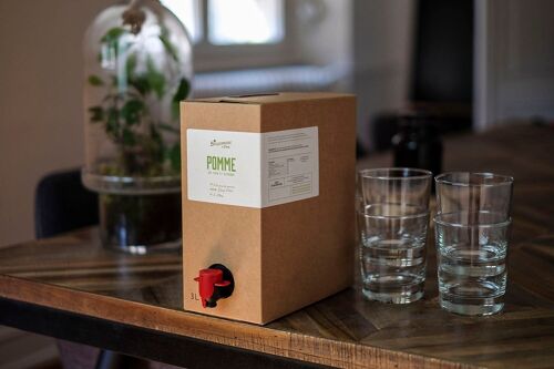 Jus de Pomme candide et note de sureau - format Bag-in-box 3 L