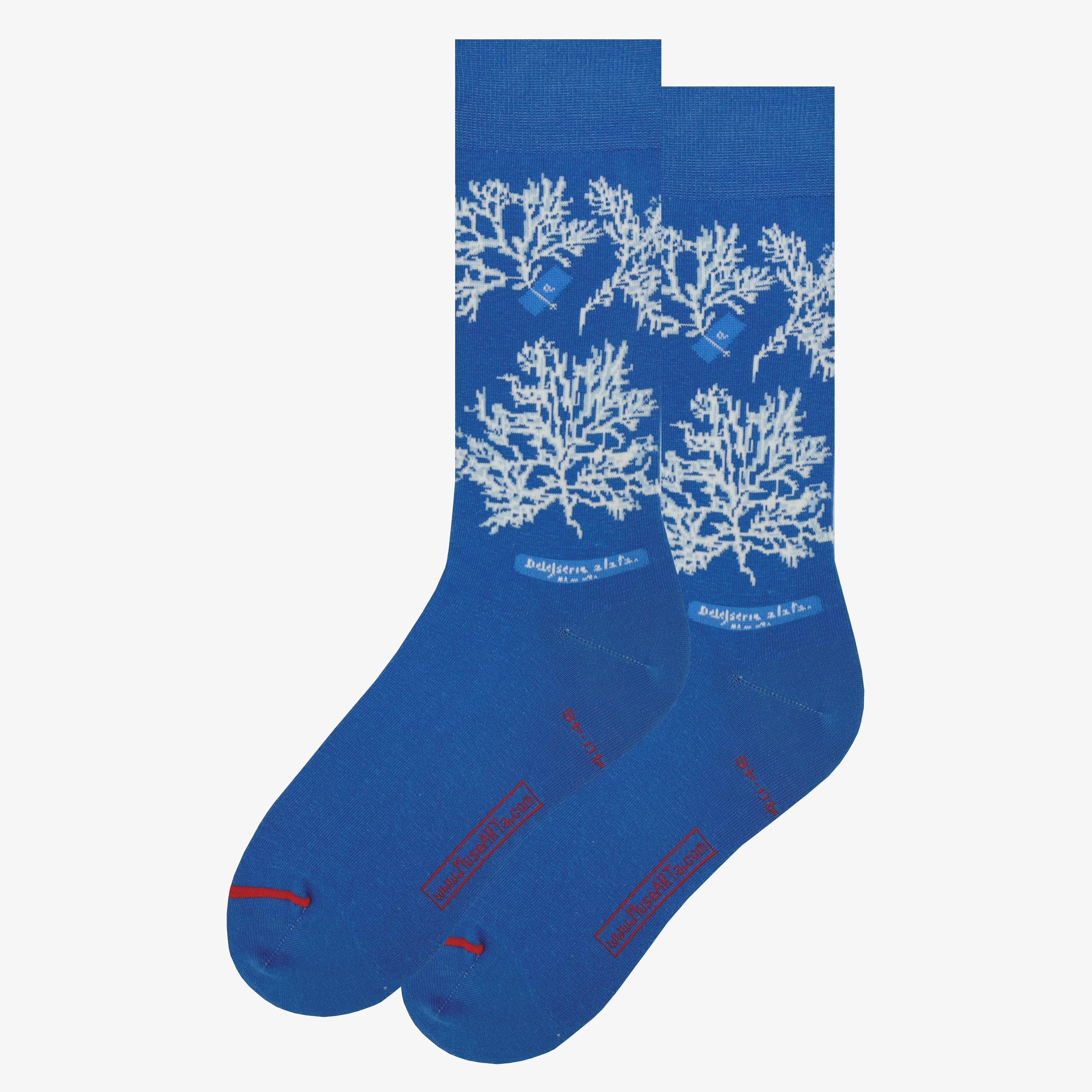 Biblioteca di New York – Delesseria Alata