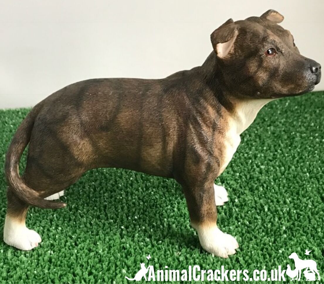 Brown Staffordshire Bull Terrier Staffie Figurine d'ornement Leonardo en boîte
