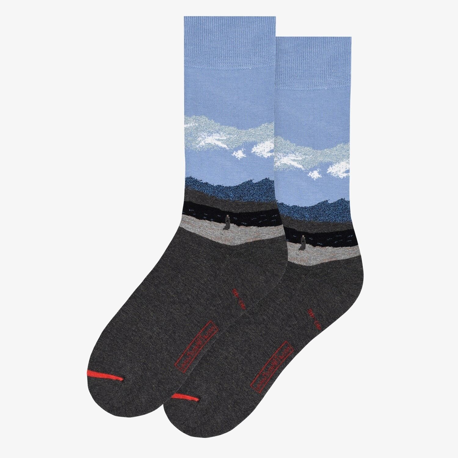 Caspar David Friedrich - Monaco in riva al mare