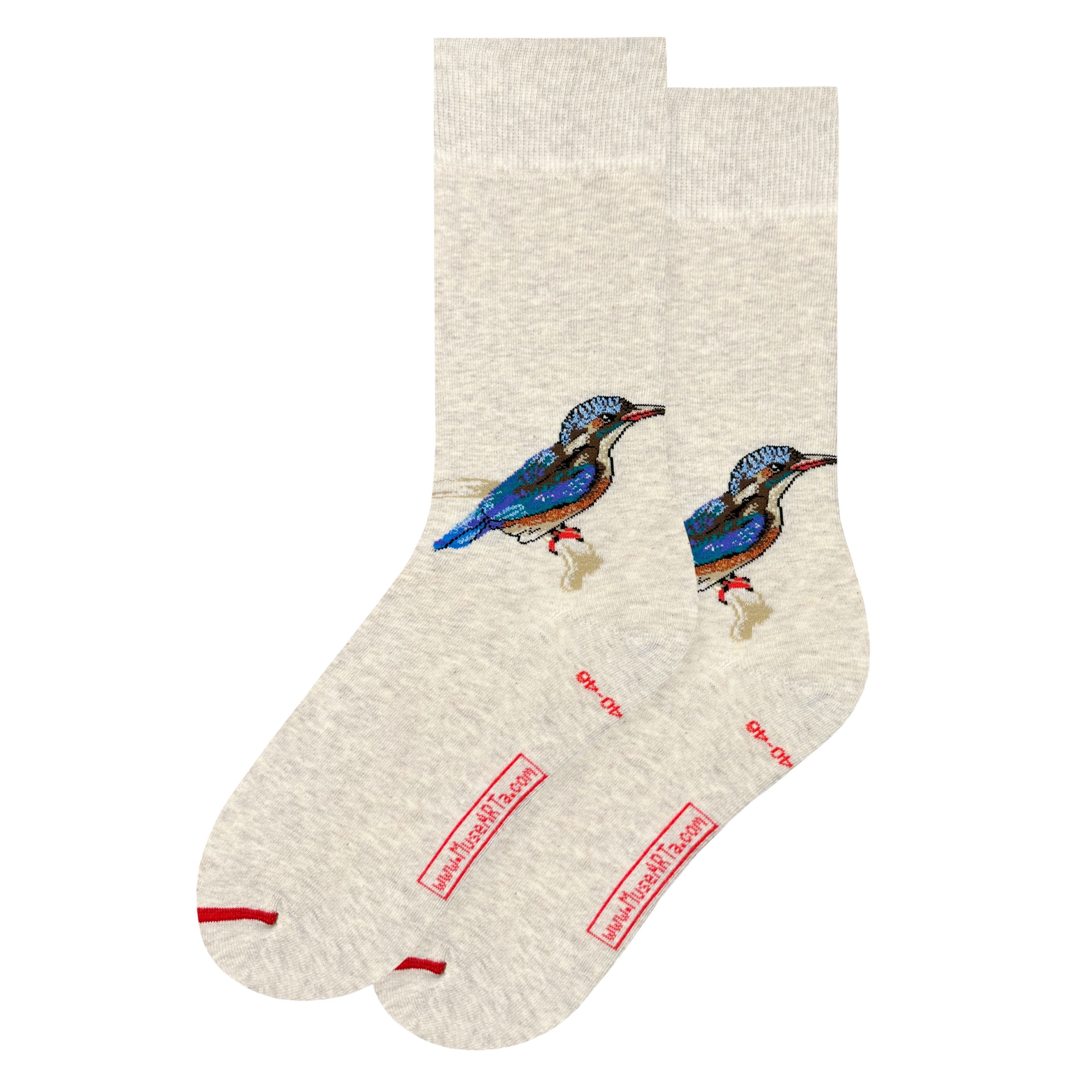 John Ruskin – Martin pescatore