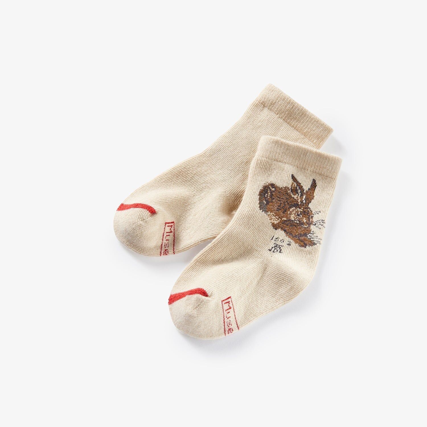 Albrecht Dürer - La lepre