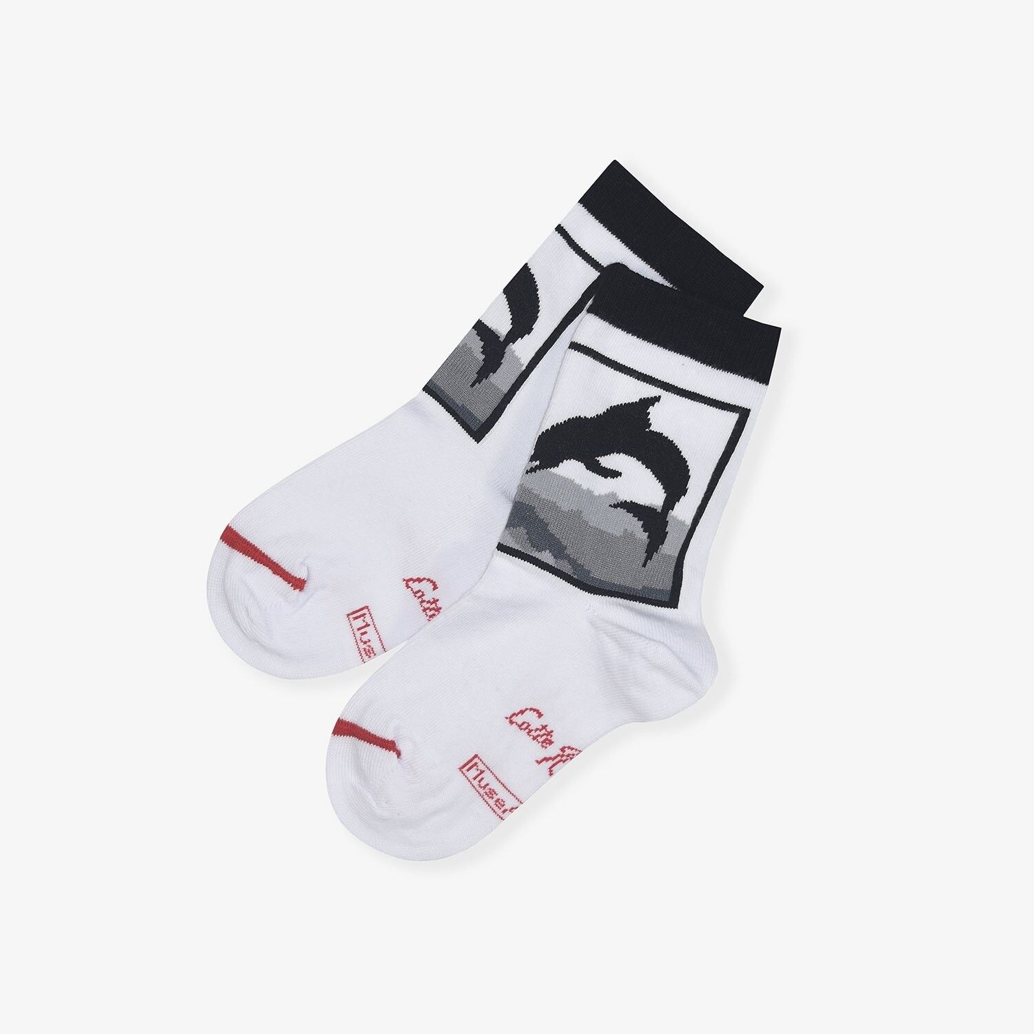 Lotte Reiniger - Delfino