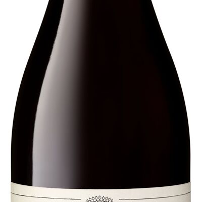 Les Colombiers - Pinot Noir de Borgoña 2023 - Vino tinto
