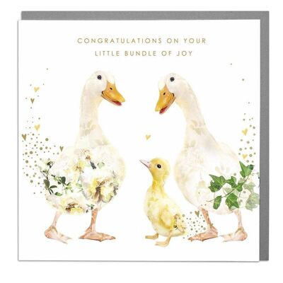 Ducks Congratulations On Your Little Bundle New Baby Card
