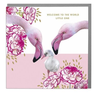 Flamingos New Baby Card